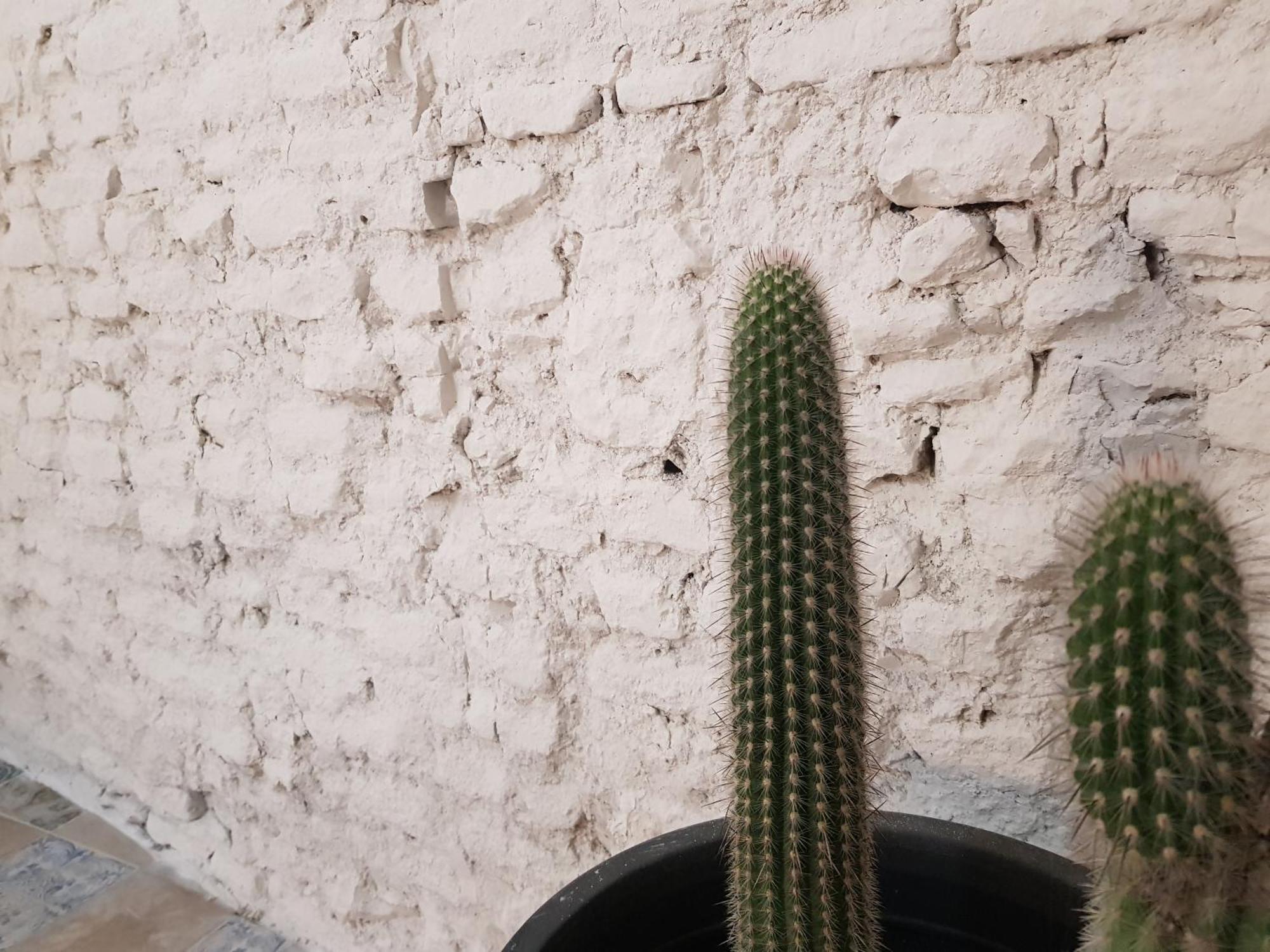 B Reform Netflix Parking Segun Disponibilidad Apartment Sevilla Exterior foto